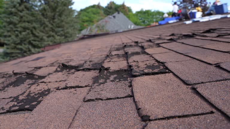 Best Rubber Roofing (EPDM, TPO)  in East Sandwich, MA